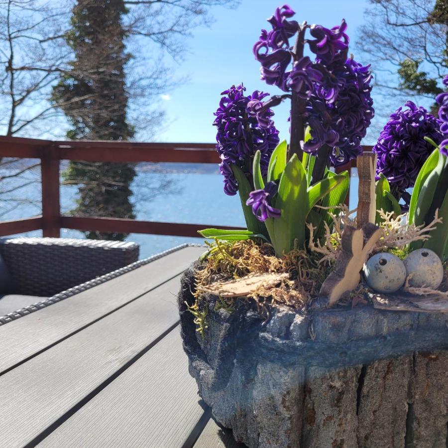 Domek Lubkowo Z Widokiem Exteriér fotografie